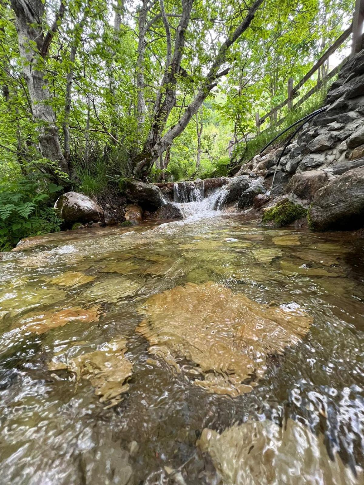 Ferienhaus Vikendica Gorski Vuk Jelovica Berane